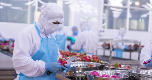 Bẫy gia công và nghịch lý 80%