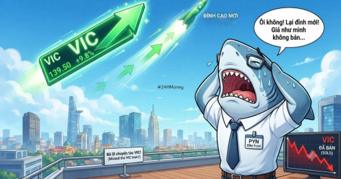 "Thua” VN-Index chỉ vì không có cổ phiếu Vingroup, ông chủ PYN Elite Fund nói thẳng: Đây là bài học đắt giá
