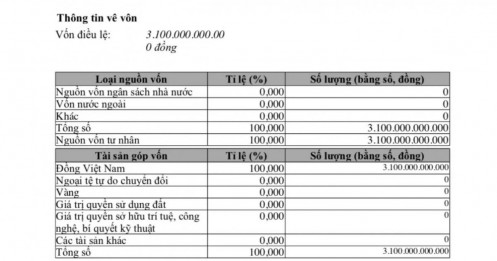Doanh nghiệp đứng sau cú bỏ cọc "đất vàng" 1.379 tỷ đồng có tiềm lực ra sao?