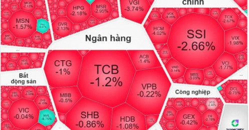 Phân hóa điên cuồng