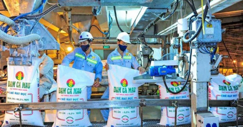 DCM: Lợi nhuận tăng 50%, bài toán khí đầu vào sắp được tháo gỡ