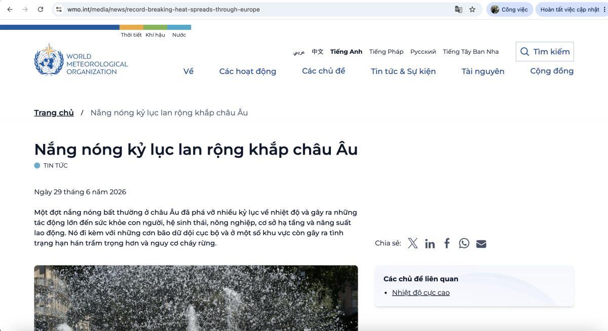Con số gây sốc từ WMO: 489.000 người tử vong vì nắng nóng mỗi năm