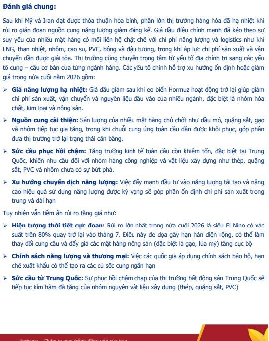 Giá hàng hóa được dự báo hạ nhiệt nửa cuối năm, loạt doanh nghiệp này có thể hưởng lợi lớn