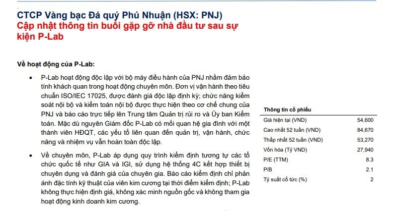 28.000 viên kim cương bị điều tra, chuyên gia nói gì về tương lai của PNJ?