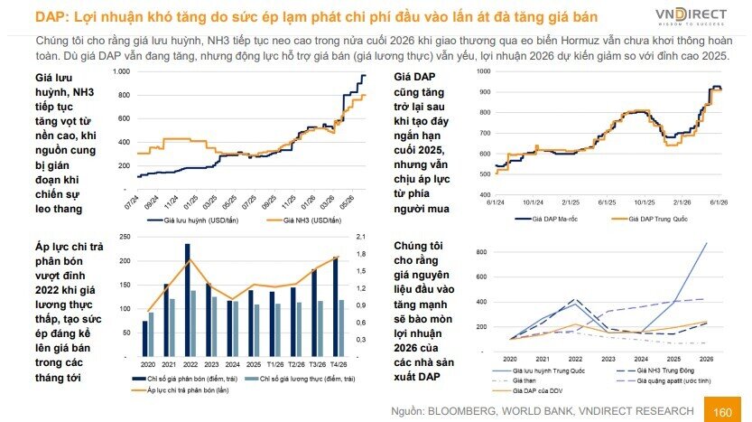 Cổ phiếu phân bón đồng loạt bứt phá, chuyện gì đang diễn ra?