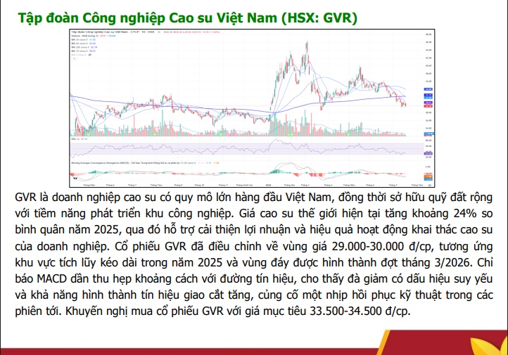 7 cổ phiếu đầu ngành đã rơi về vùng "quá bán" sau nhịp chiết khấu sâu