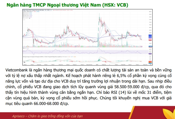 7 cổ phiếu đầu ngành đã rơi về vùng "quá bán" sau nhịp chiết khấu sâu