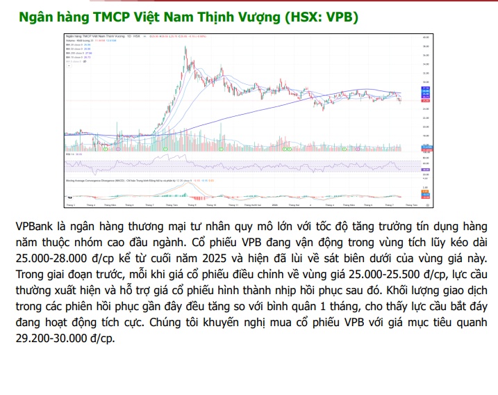 7 cổ phiếu đầu ngành đã rơi về vùng "quá bán" sau nhịp chiết khấu sâu