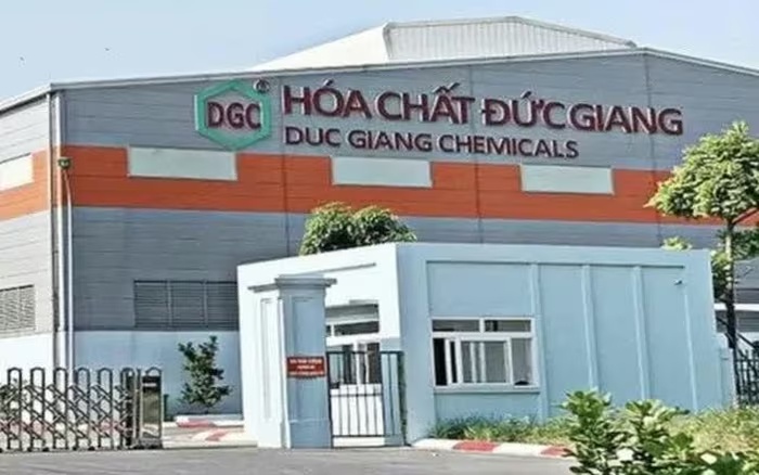 DGC thủng đáy 5 năm