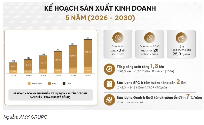 AMY GRUPO IPO gần 787 tỷ đồng: Nhà đầu tư cần lưu ý gì?