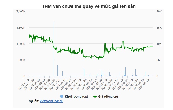 THM chuyển hướng từ dệt may sang bất động sản, công ty mẹ muốn rút vốn