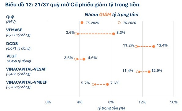 "Cá mập" đã mua gì trước cú sốc?