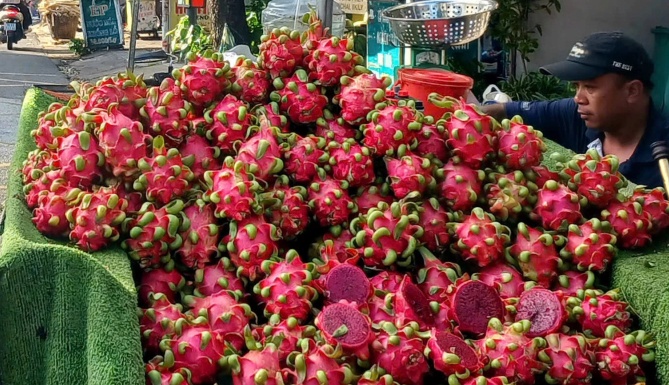 Giá thanh long tăng gấp đôi sau giai đoạn 'chạm đáy'