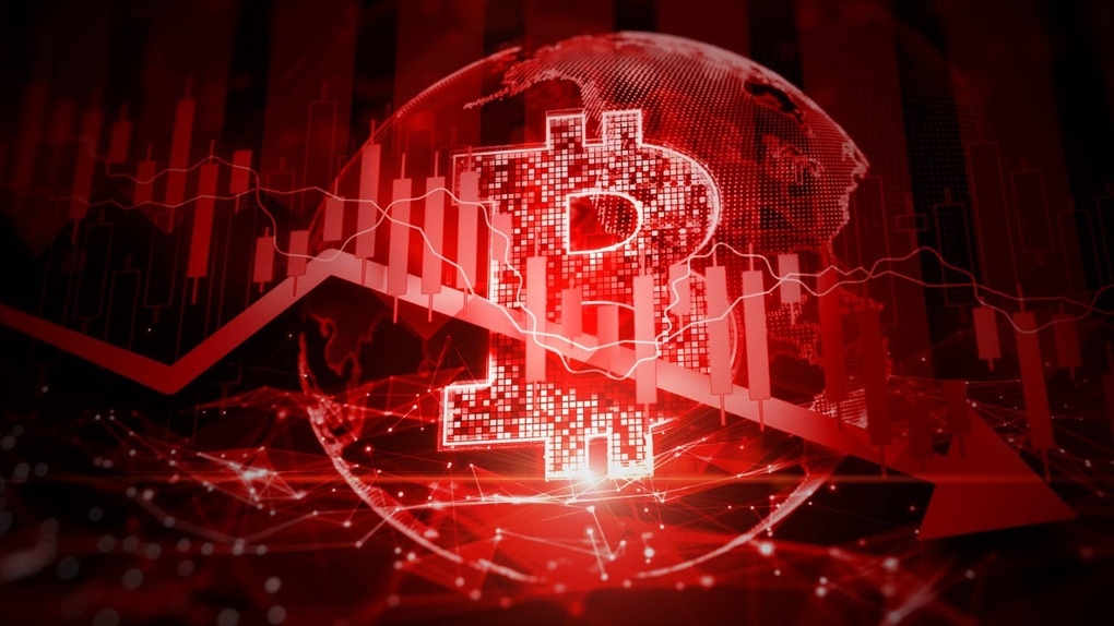 "Lời nguyền" tháng 8 của Bitcoin