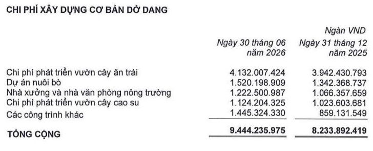 Nợ hơn 10.800 tỷ đồng, vì sao HAGL Agrico chỉ hạch toán 2,7 tỷ đồng lãi vay?