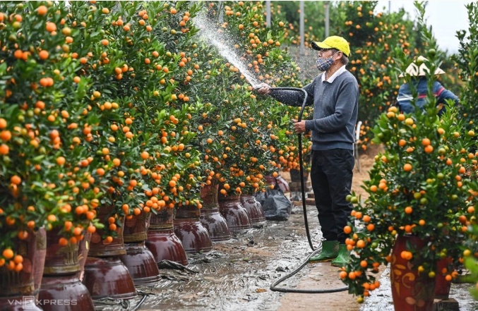 Hai phương án nghỉ Tết Đinh Mùi