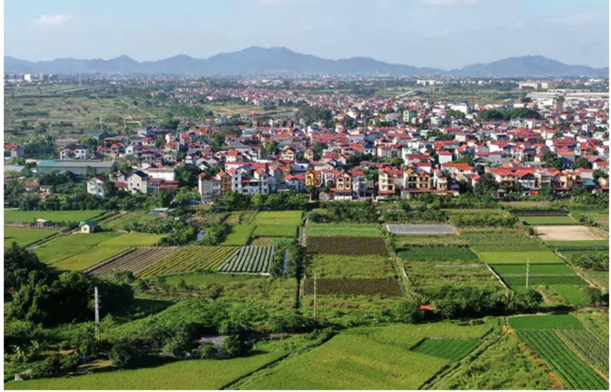 Mua đất nông nghiệp bằng giấy viết tay tưởng “hời”, đến lúc thu hồi mới thấy rủi ro