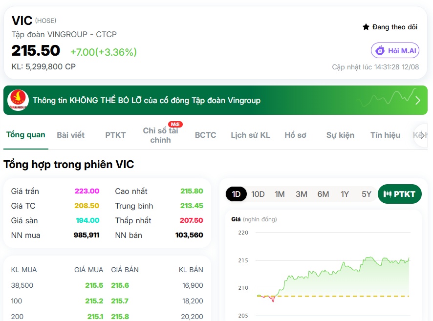 VIC kéo VN-Index, Vingroup có thêm 54.000 tỷ vốn hóa chỉ trong một ngày