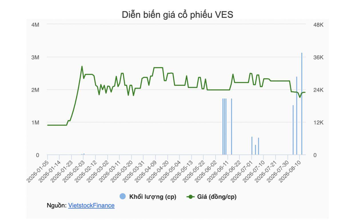 Loạt lãnh đạo mới của Tập đoàn VinaLiving đồng loạt mua hơn 3 triệu cổ phiếu
