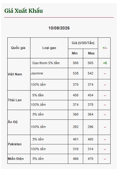 Gạo xuất khẩu bật tăng, “hạt ngọc trời” lại vào mùa hút tiền?