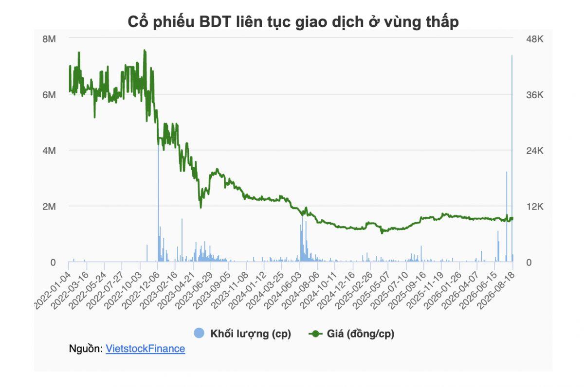 Vinaconex chi hơn 75 tỷ gom hơn 19% vốn một doanh nghiệp của tỉnh Đồng Tháp