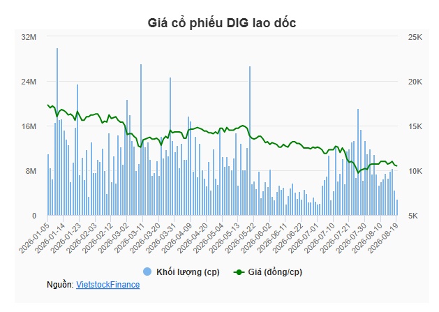 DIG sắp phát hành gần 48 triệu cổ phiếu trả cổ tức