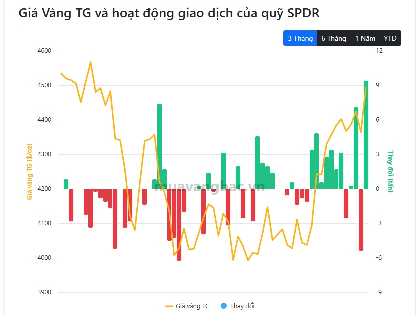 Cá mập 'gom' gần 10 tấn vàng ngay trong một đêm