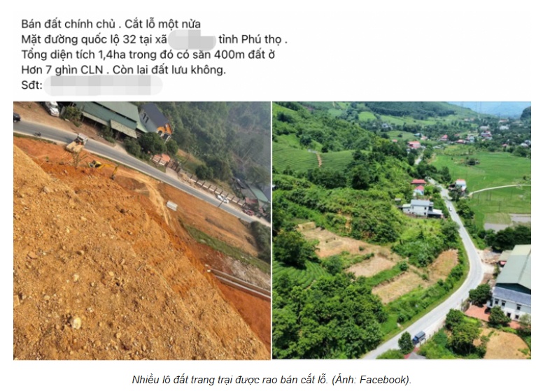 Sau cơn sốt 'bỏ phố về rừng', bất động sản trang trại giảm giá vẫn ế khách mua