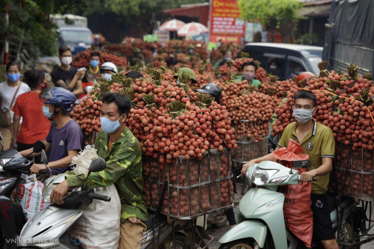 Xuất khẩu vải thiều lao dốc