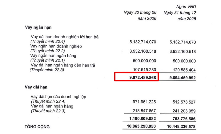 Hơn 9.000 tỷ đồng vay từ một bên: Thaco Agri đang giữ vai trò gì tại HAGL Agrico?