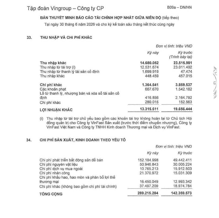 Gần 25.000 tỷ đồng lợi nhuận của VIC đến từ VinFast: Nhà đầu tư cần nhìn kỹ