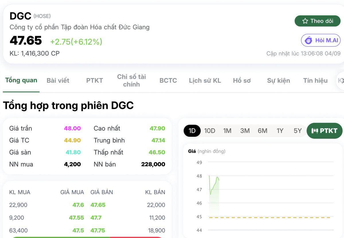 DGC tiếp tục bị cảnh báo, nhà đầu tư lại phải chú ý đến ý kiến kiểm toán