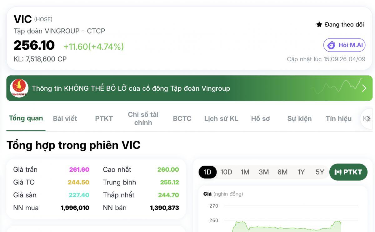 Hai “ngôi sao” VIC – STB cùng lập đỉnh: Một bên gần 2 triệu tỷ vốn hóa, một bên áp sát 146.000 tỷ