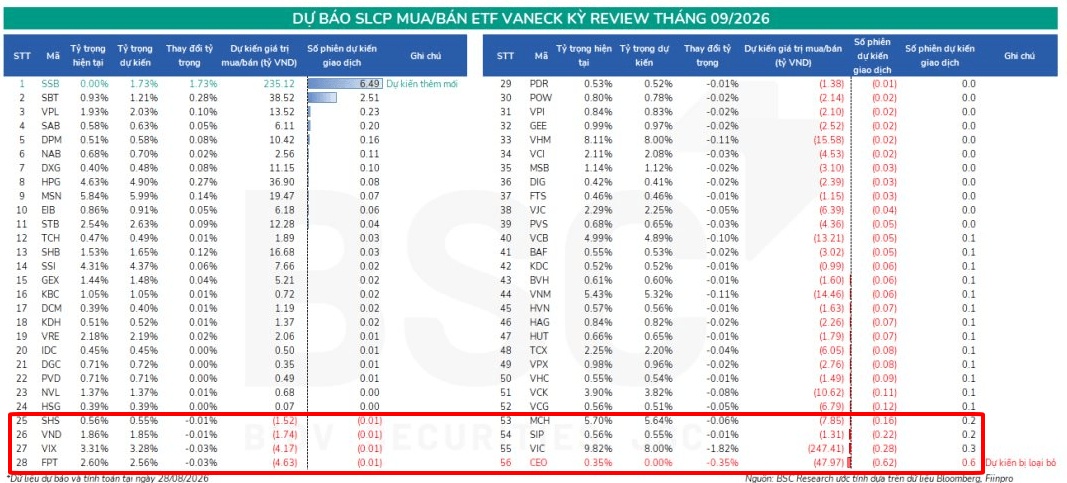 Hai “cá mập” 24.000 tỷ đồng sắp ra tay: NVL, SSB có thể được gom mạnh trong tháng 9