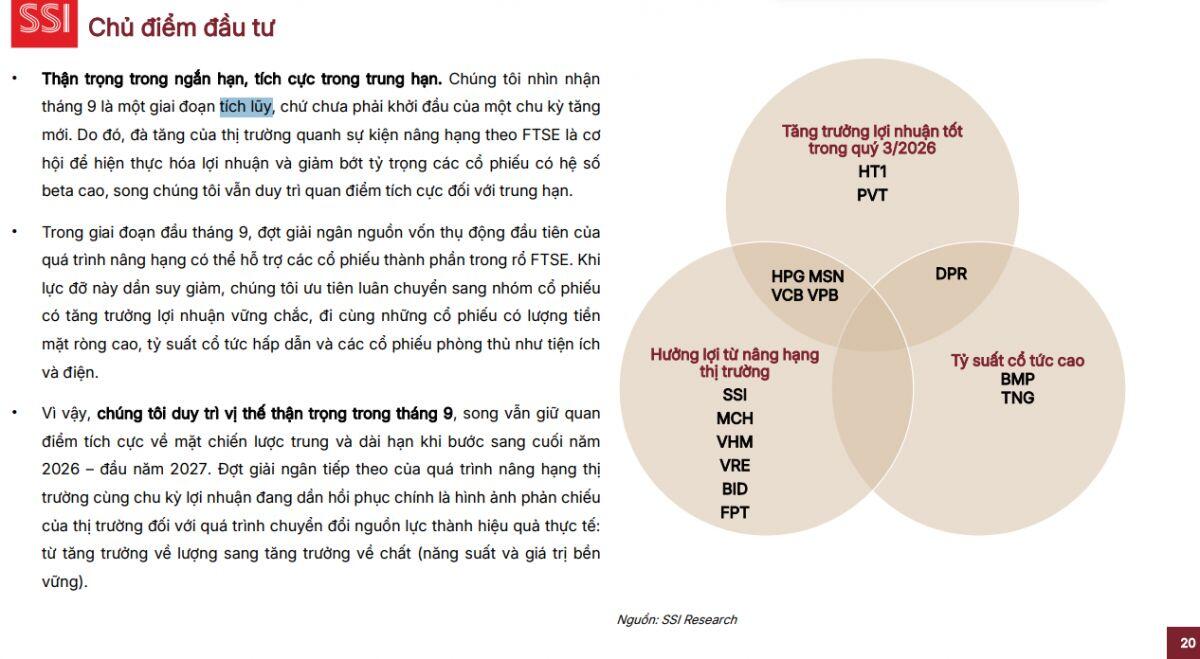 Đừng vội FOMO: Tháng 9 là để tích lũy, đại sóng chưa tới sớm