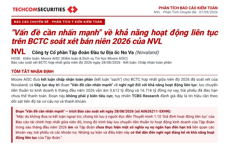 TCBS lý giải cảnh báo “hoạt động liên tục” của Novaland: Rủi ro nằm ở đâu?