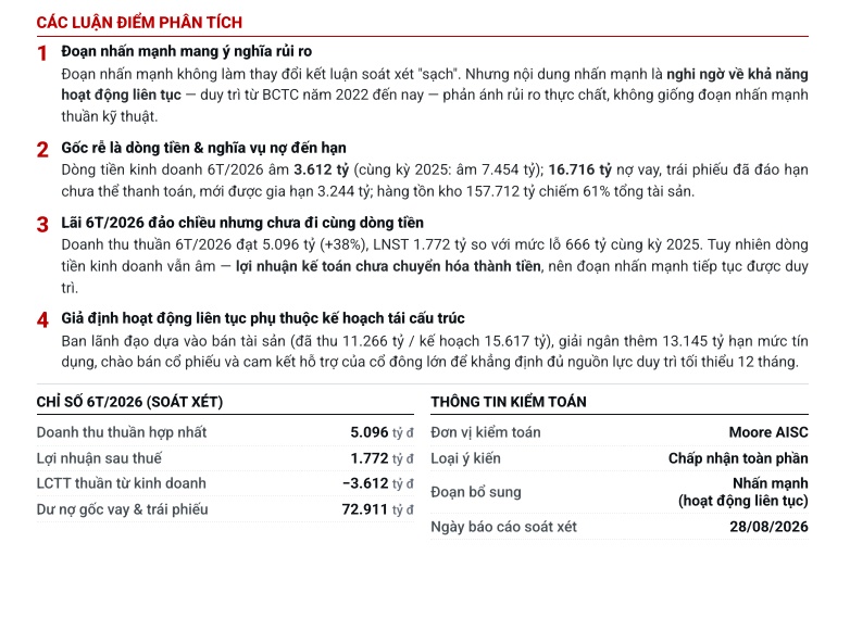 TCBS lý giải cảnh báo “hoạt động liên tục” của Novaland: Rủi ro nằm ở đâu?