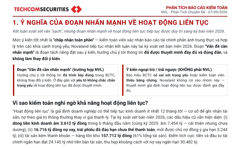 TCBS lý giải cảnh báo “hoạt động liên tục” của Novaland: Rủi ro nằm ở đâu?