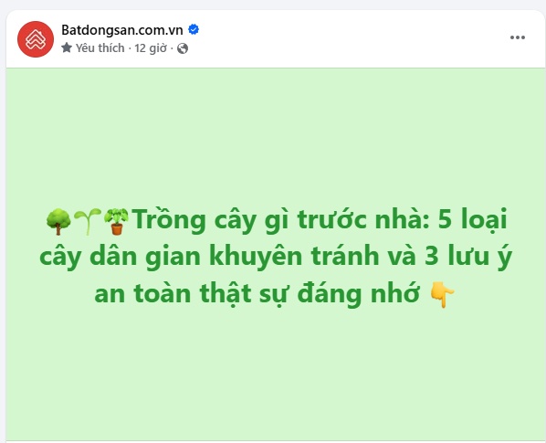 Trồng cây trước nhà: 5 loại cây nhiều người vẫn kiêng