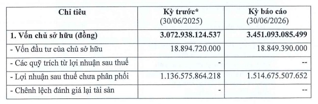 Ông lớn đứng sau Giao Hàng Nhanh, Ahamove: Nợ phình to, lợi nhuận “bốc hơi” 94%