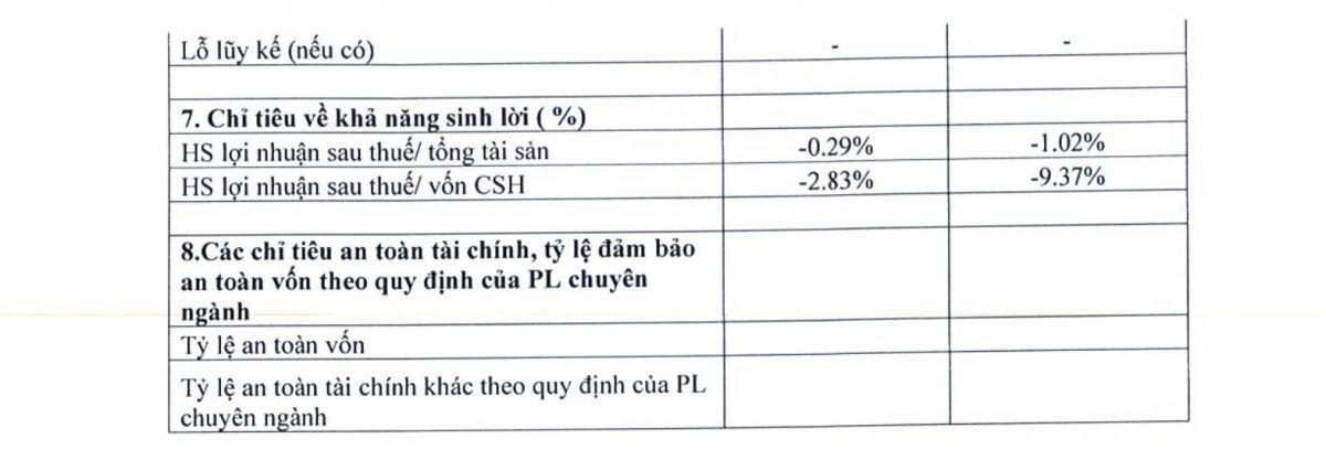 Nợ gấp 8 lần vốn chủ, lãi vay vượt khả năng sinh lời: Bất động sản Thành Vinh có gì đáng chú ý?