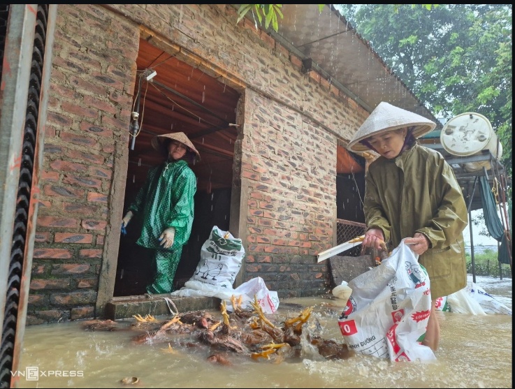 Người dân ngoại thành Hà Nội chạy lũ