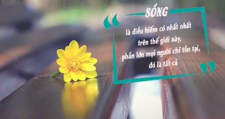 Người khôn ngoan thường buông bỏ 6 điều này để sống nhẹ lòng, bình an hơn