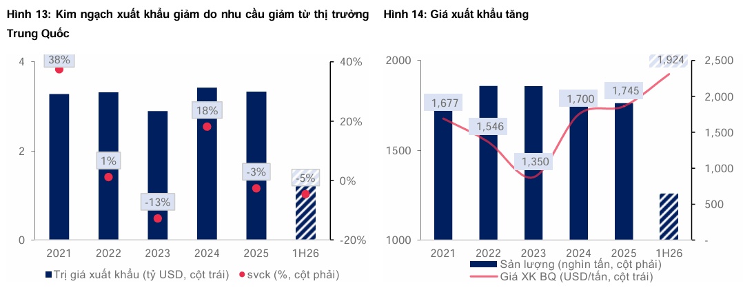Sóng gió và cơ hội từ cổ phiếu cao su