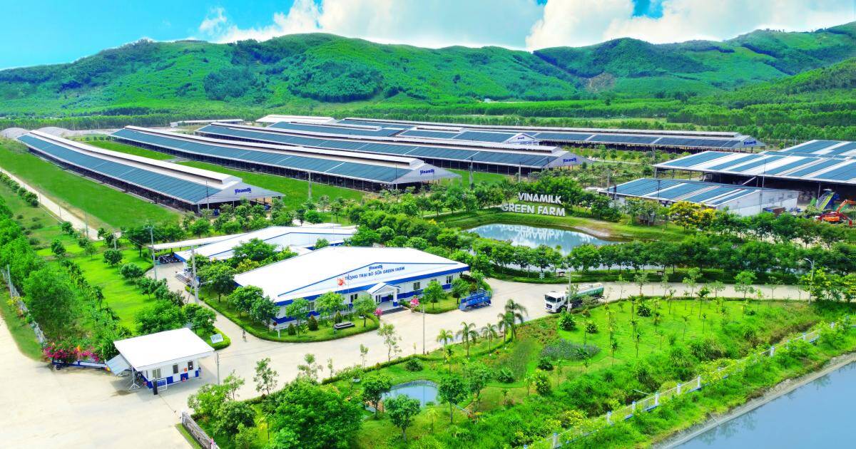 50 năm Vinamilk: Khi “đạt chuẩn” chưa phải là điểm dừng