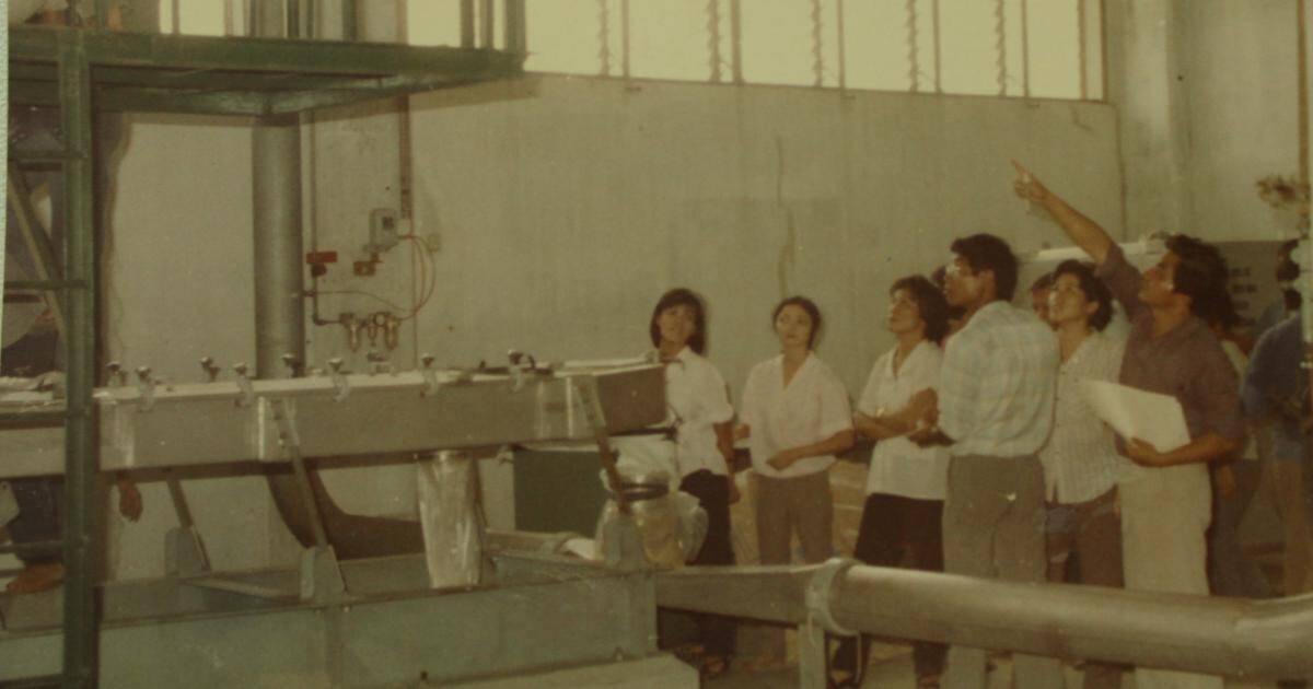 50 năm Vinamilk: Khi “đạt chuẩn” chưa phải là điểm dừng