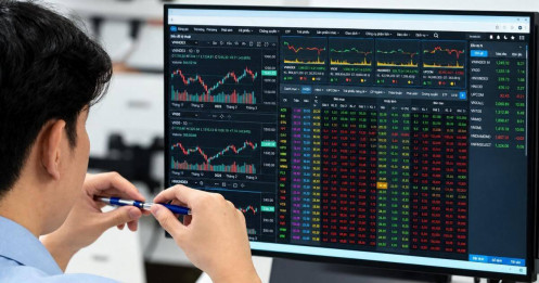 Điểm tựa tăng trưởng từ MSN và VIB