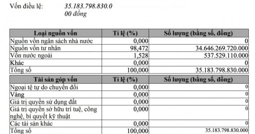 Quy mô vốn VinFast Việt Nam tăng gấp 3,5 lần sau khi con trai ông Phạm Nhật Vượng tiếp quản