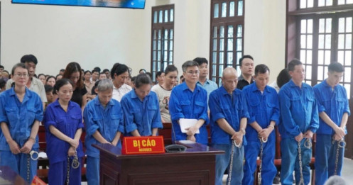 Cựu tổng giám đốc Đồ hộp Hạ Long nhận 19 năm tù trong vụ mua 197 tấn thịt lợn bệnh