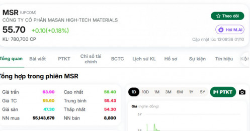 MSR sang tay gần 5% vốn: Một cú thỏa thuận cực to